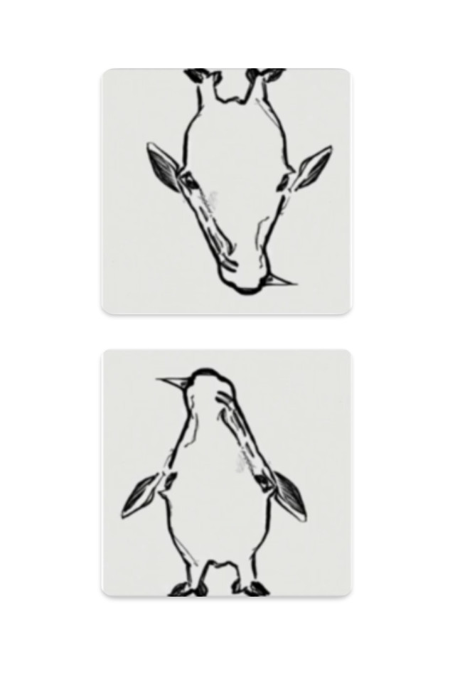 Flip anagram: giraffe ↔ penguin